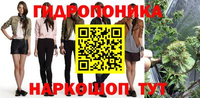 ECSTASY Лесосибирск