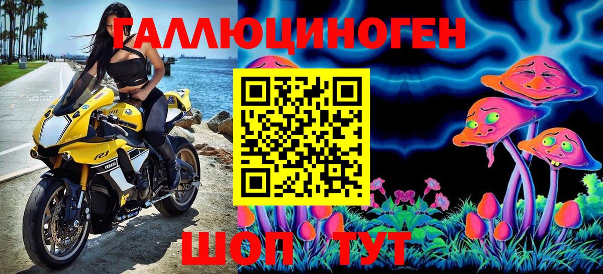 Галлюциногенные грибы MAGIC MUSHROOMS  Псилоцибиновые грибы Cubensis  Бузулук  как найти   Вход с VPN 